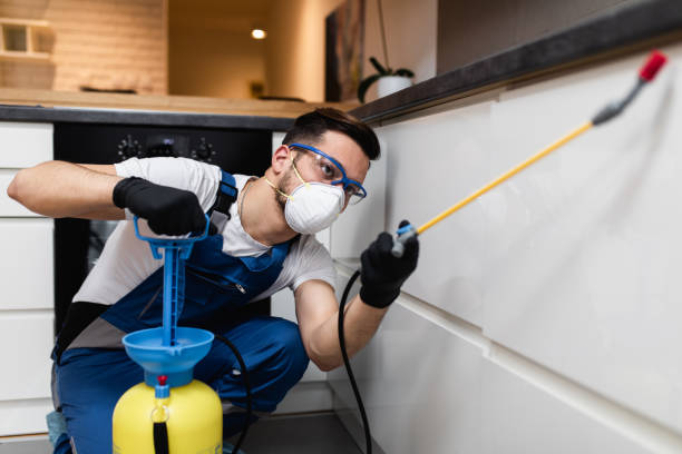 Best Residential Pest Control  in Fulshear, TX