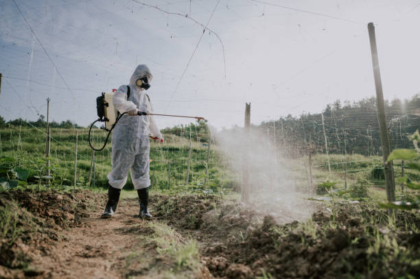 Best Pest Control for Homes  in Fulshear, TX