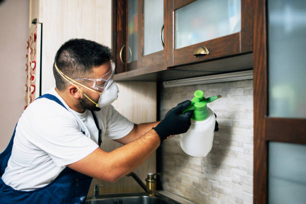 Best Rat Extermination Near Me  in Fulshear, TX