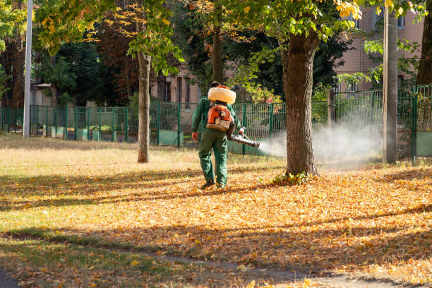 Trusted Fulshear, TX Pest Control Experts
