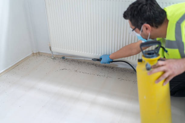 Best Cockroach Control Services  in Fulshear, TX