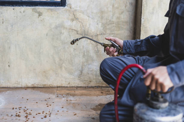 Best Mosquito Control Services  in Fulshear, TX